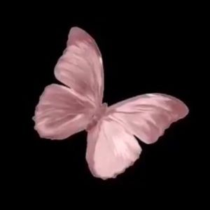 Meet your Posher, Natalia